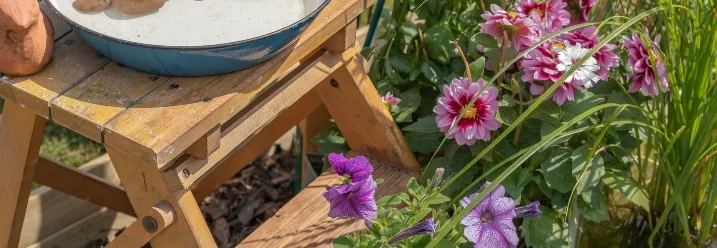 Vogelschale auf Holzhocker im Garten